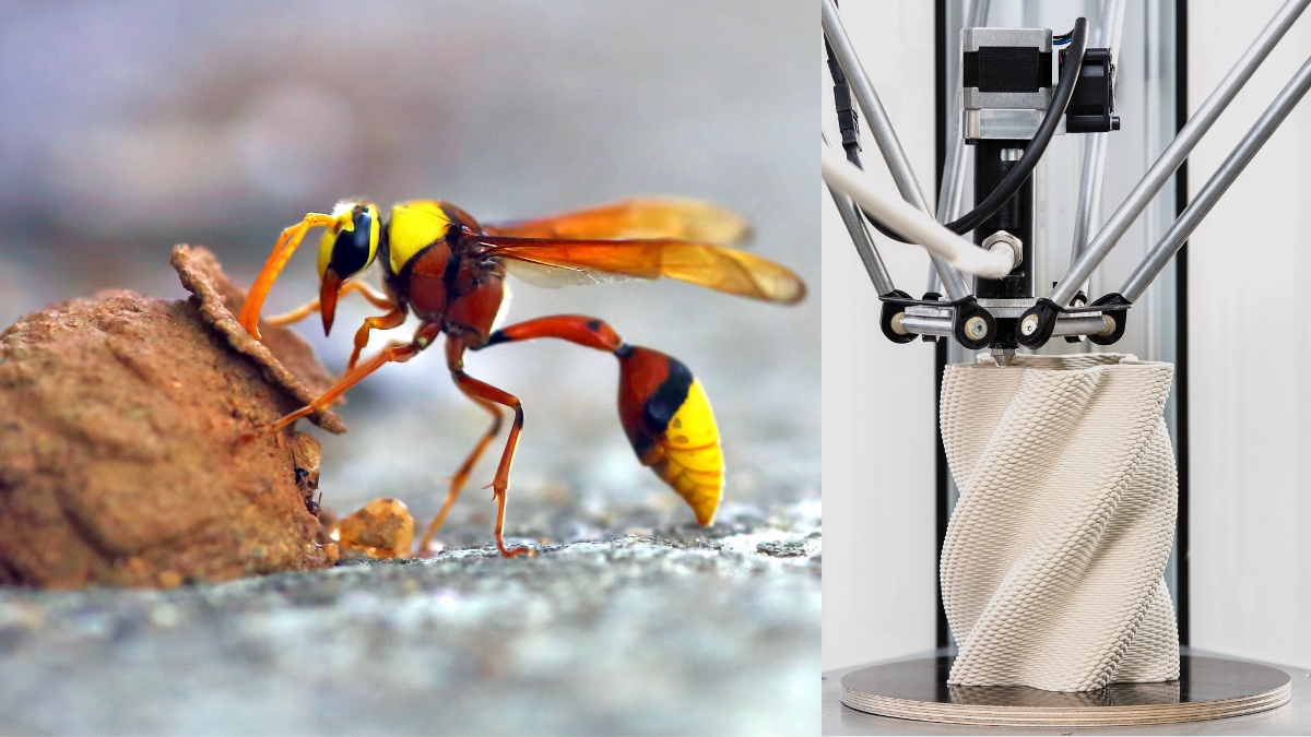 Connessioni in ceramica:  dalle vespe vasaie alla stampa 3D